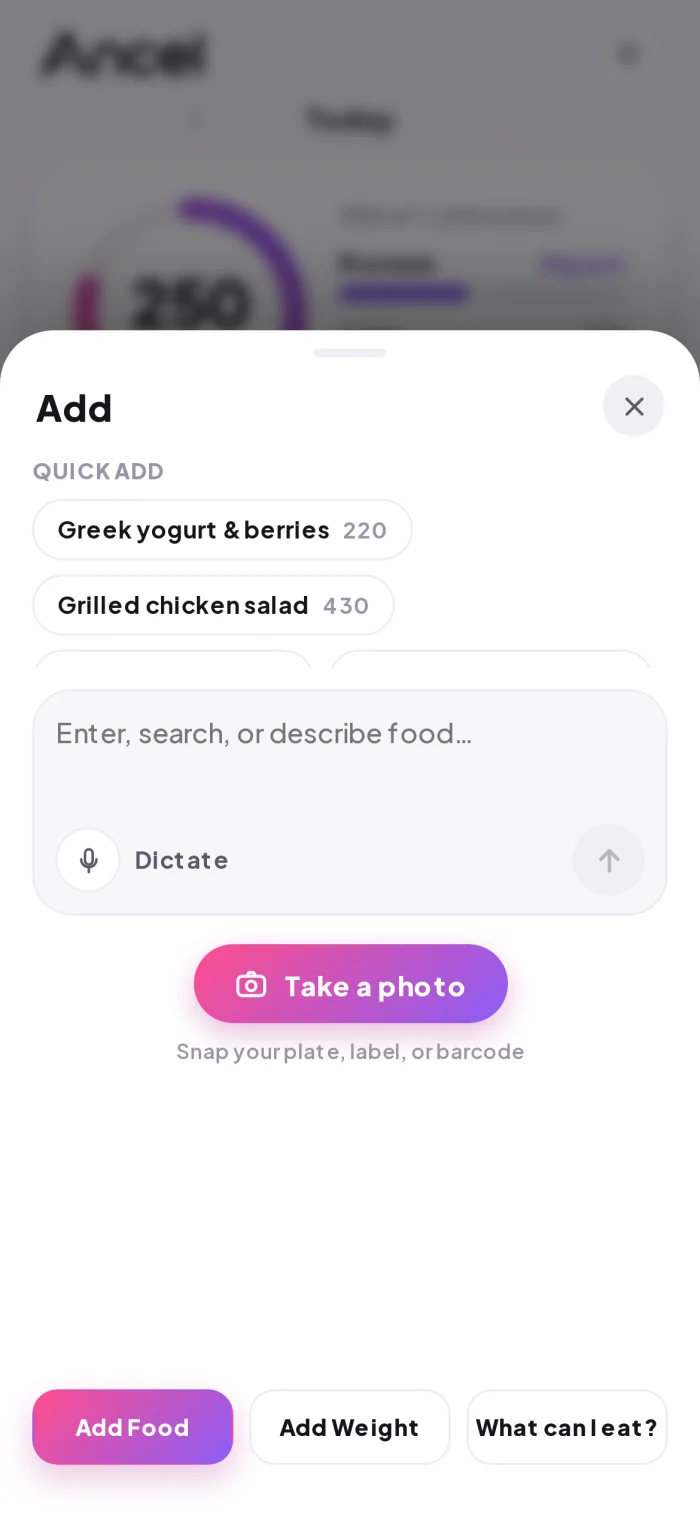 Ancel’s add screen — log food by voice, photo, barcode, or text