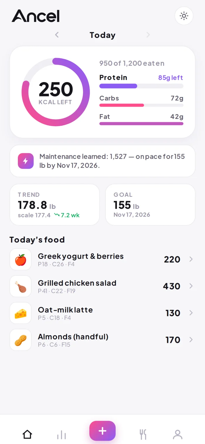 Ancel dashboard — calories left, protein, and your adapting daily target